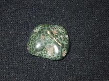 Michigan Greenstone Chlorastrolite Gemstone 11mm x 13mm picture
