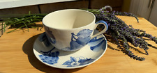 Botanical Herman Dodge & Son Hand Painted White/Blue Fruits-XL Cup and Saucer picture