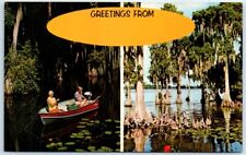 Postcard - Florida's the Greatest - Nature Scene picture