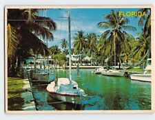 Postcard Tropical Florida USA picture