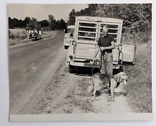 1965 Police Manhunt Escaped Prisoner Search Bloodhound Vintage Press Photo picture