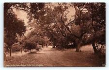 ARCADIA, CA California ~ Road to BALDWIN'S RANCH  c1910s Sepia Postcard picture