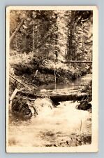 Scenic View Spearfish Creek, Lead Black Hills SD, RPPC c1945 Vintage Postcard picture
