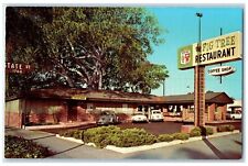 c1930's The Fig Tree Restaurant Coffee Shop Santa Barbara California CA Postcard picture