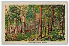 c1940's Greetings From Beebe Forest View Arkansas AR Vintage Unposted Postcard picture