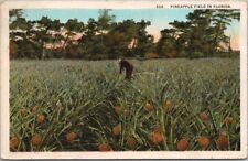 Florida Agriculture / Farming Postcard 