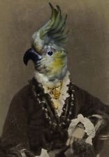 Antique Bird Man Photo 1790b Oddleys Strange & Bizarre picture