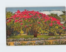 Postcard The Royal Poinciana in Florida USA picture