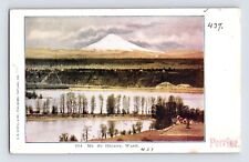 Postcard Washington Mt St Helens WA Volcano Pre-1907 Unposted Undivided Back picture