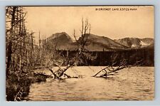 Estes Park, CO-Colorado, Bierstadt Lake, Vintage Postcard picture