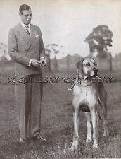 DOG Great Dane Champion (Named) & Prince George, Duke of Kent, Print from 1930s picture
