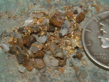 NATURAL GOLD AND QUARTZ CONCENTRATES .79 GRAM CALIFORNIA MOTHER LODE GOLD picture