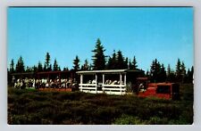 MI-Michigan, The Toonerville Trolley, Tahquamenon Falls, Vintage Postcard picture