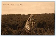c1940's Sugar Loaf Trees Scene Mackinac Island Michigan MI Unposted Sky Postcard picture