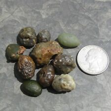 10PCS Natural Gobi agate/Jasper stone jinmai stone for Bonsai Suiseki gm872 picture