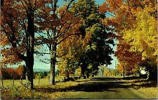 Greetings From Kaleva Michigan MI Fall Autumn Scene Postcard VTG UNP WOB Vintage picture