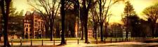 RARE UDB FOLD OUT PANORAMIC MAIL CARD-YALE UNIV. CAMPUS LOOKING SOUTH, BK54 picture