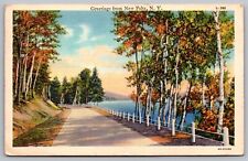 Greetings New Paltz New York Street View Country Road Cancel Highland Postcard picture