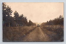 RPPC Country Drive in Horse & Carriage Pine Trees Real Photo Postcard picture