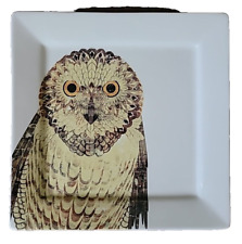 Owl Home Decor Plate  Creative Co-op  For Decoration Only Not for Food   picture