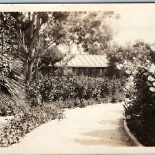 c1930s San Diego CA RPPC Unknown Garden Trail by Bunnell Real Photo Shop PC A200 picture