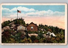 c1915 Mount Mitchell Inn Cabins Yancey County North Carolina NC Postcard picture