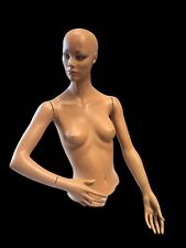 Vintage Mannequin Torso With Arms And Hands. picture