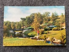 A roadside park in Michigan Vintage Postcard picture