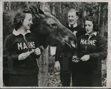 1938 Press Photo Game wardens discovered a sick cow moose in the woods near picture