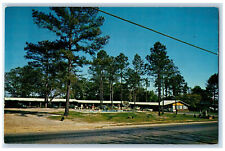 c1950's Swimming Pool, Playground Oak Plaza Motel Blacksheer Georgia GA Postcard picture