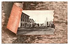 Antique Birch Bark Framed, Main Street, Springvale, ME Postcard picture