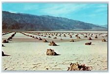 California CA Postcard Borax Flats Death Valley National Monument c1960 Unposted picture