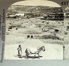 Nazareth Palestine Threshing Floor Horses Photograph Keystone Stereoview Card picture