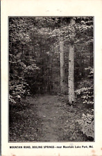 Vintage 1898 Mountain Road Trail, Boiling Springs Lake Park Maryland MD Postcard picture