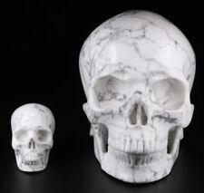 Howlite Crystal Skull Reiki- Mineral- Healing-Quartz-Realistic picture