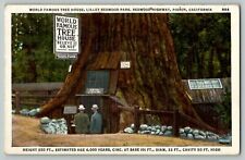 c 1940's World Famous Tree House Lilley Redwood Park Piercy CA Linen Postcard picture