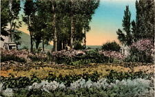 Allen Hotel, Restaurant, Wells, Nevada, Schoer's Ranch, Flower Garden, Postcard picture