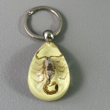 Real Scorpion Keychain/Keyring in Amber Resin Gold Scorpion Glows Scorpio picture