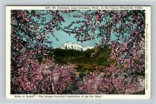 Cashmere WA-Washington, Wenatchee Valley, Vale Cashmere, Vintage Postcard picture