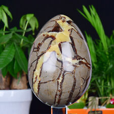 10.62LB Natural Dragon Septarian Egg shape Quartz Crystal Ball Healing Reiki Gif picture