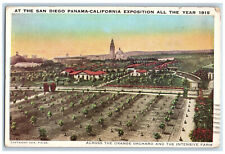1915 At The San Diego Panama-California Exposition Orange Orchard CA Postcard picture