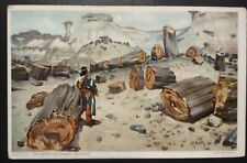 Postcard Fred Harvey The Petrified Forest Arizona Signed By Artist Phostint picture