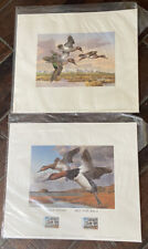 80's Press Proof Rhode Island Duck Stamp Print & Idaho Waterfowl  picture