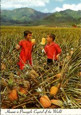 Field Ripe Pineapples Kids Eating - Del Monte Canning Hawaii - Chrome Postcard picture