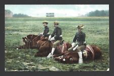 Cavalry Forces Men on Horses On Ground 1905 - 1914 Golden Age Antique Postcard picture