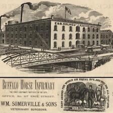 1886 BUFFALO CANALSIDE WHIPPLE BRIDGE PLANING MILL VETERINARY SURGEON TIMBER VTG picture
