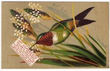 Humming Bird MME DEMOREST Reliable Patterns 1880's VICTORIAN Trade Card picture