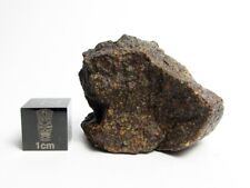 NWA x CV3 20.30g Desert Varnished Carbonaceous Chondrite Meteorite picture