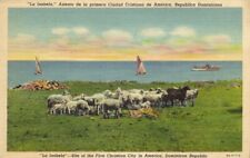 dominican republic, LA ISABELA, First Christian City in America, Sheep (1950s) picture