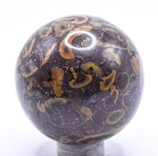 42mm Ajooba Jasper Sphere Polished Natural Conglomerate Crystal Mineral - India picture